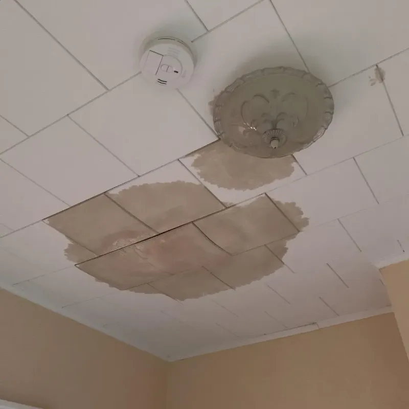 Ceiling Water Damage Repair in North Branch, MI
