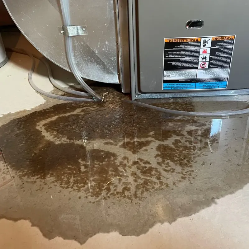 Pipe Burst and Leak Restoration in North Branch, MI