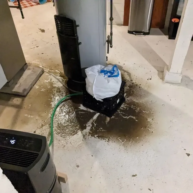 Sewage Backup Cleanup Service in North Branch, MI